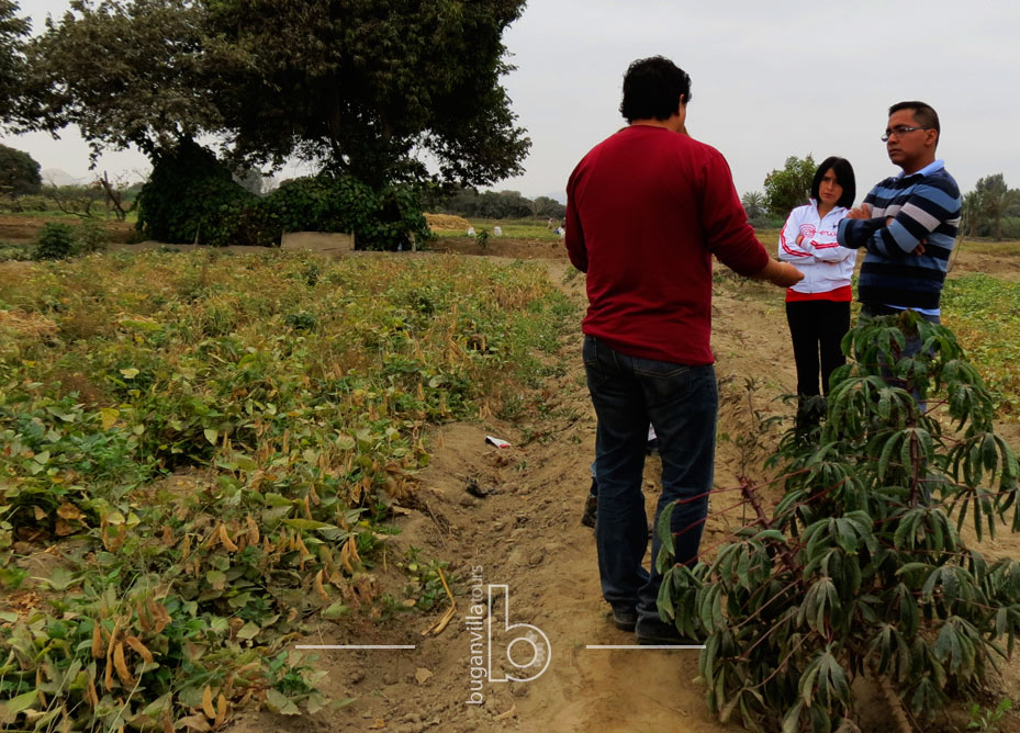 Tour Agrícola desde Lima