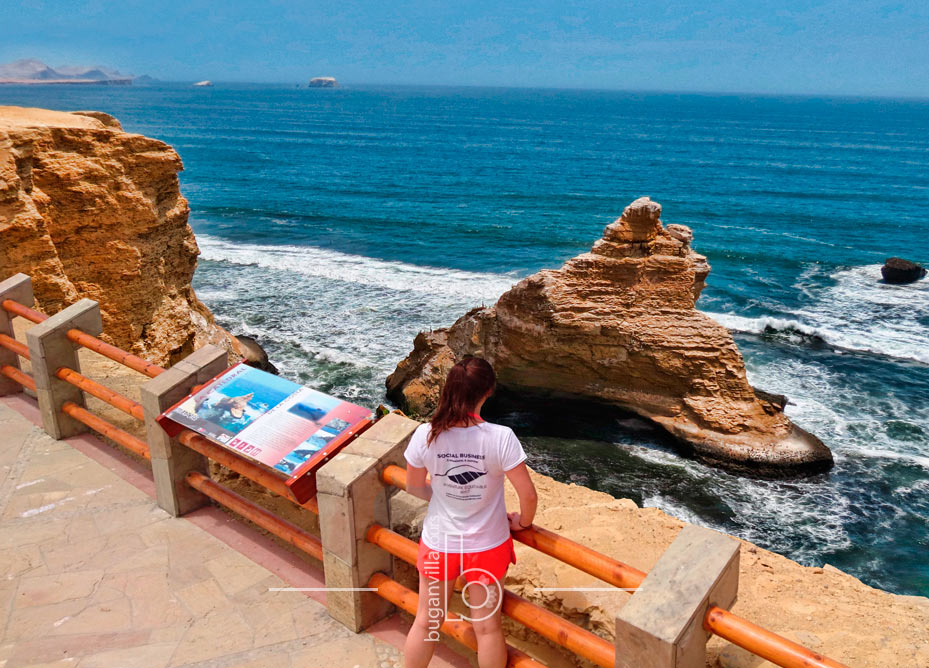 Tour Reserva Nacional de Paracas desde Chincha