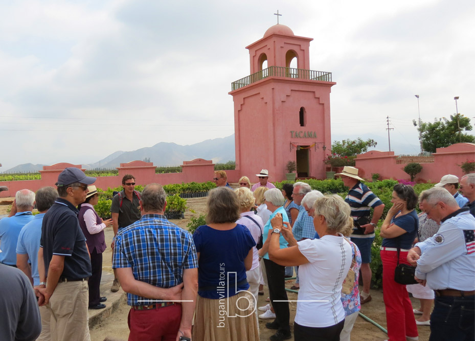 Ruta del Pisco Ica